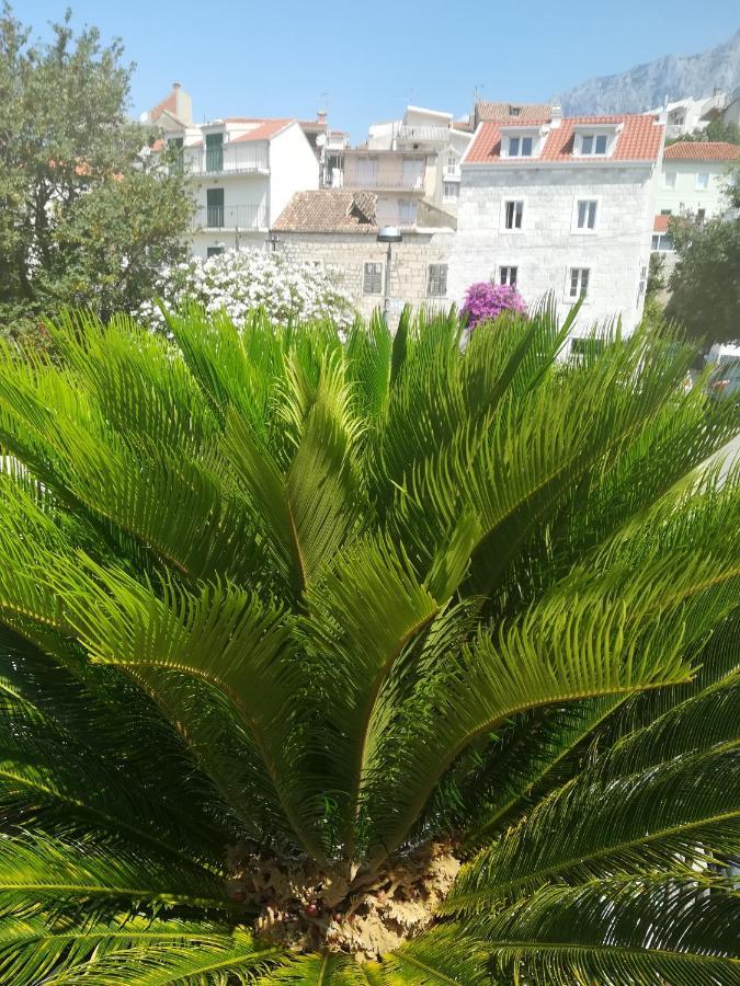 Apartmani Kike Makarska Exterior foto