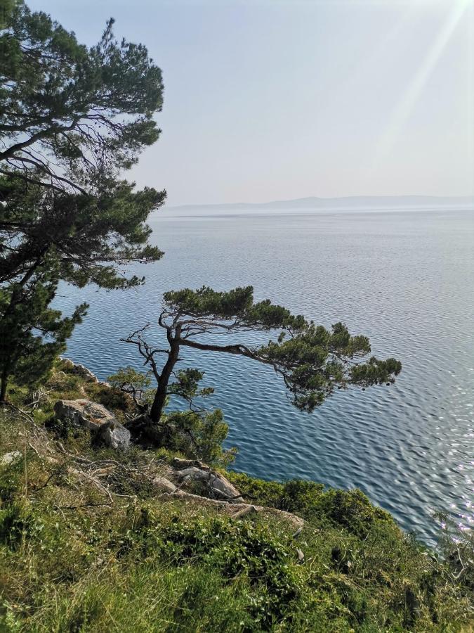 Apartmani Kike Makarska Exterior foto